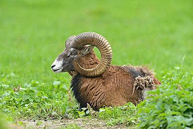 《守望先锋2》与《变形金刚》联动活动实机预告